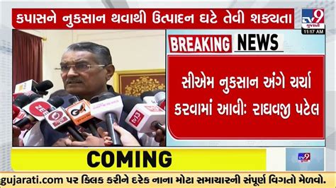 gujarat agriculture minister raghavji patel reacts over the cotton crop loss tv9gujaratinews