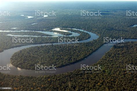 Aerial View Of The Rainforest And The Amazonas River Stock Photo