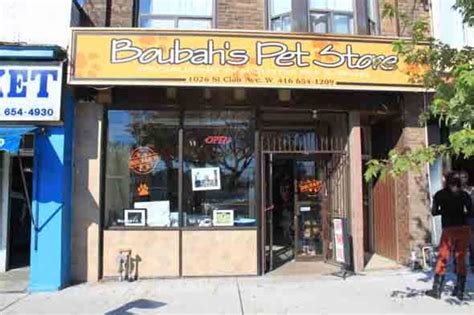 Dog, cat, fish, small animal, indoor bird, outdoor bird accessories for any of. Boubah's Pet Store - blogTO - Toronto