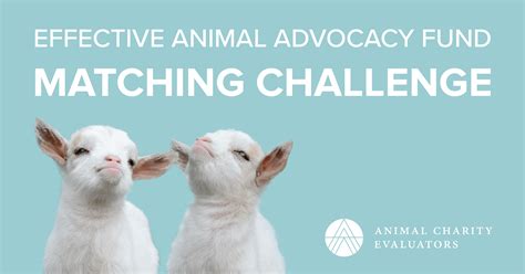 Effective Animal Advocacy Fund Matching Challenge Animal Charity