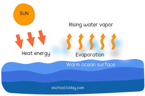 Energy is used to break the bonds that hold water molecules together, which is why water easily evaporates at the boiling point (212° f, 100° c) but evaporates much more slowly at the freezing point. The evaporation stage of the water cycle | Eschooltoday