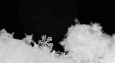 Premium Photo Beautiful Snow Crystal In Fresh Snow Panorama