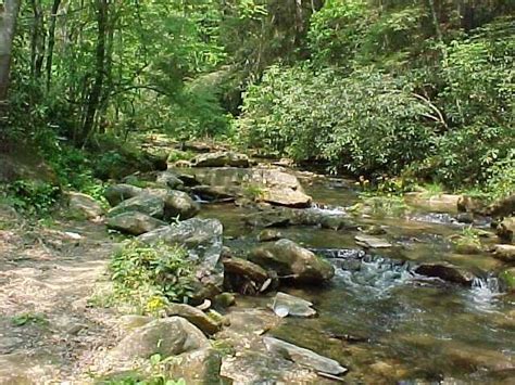 This scenic cascade drops 60 feet over a travertine outcropping on the river's edge. Fall Creek Trout Stream | Streams and Creeks | Pinterest ...