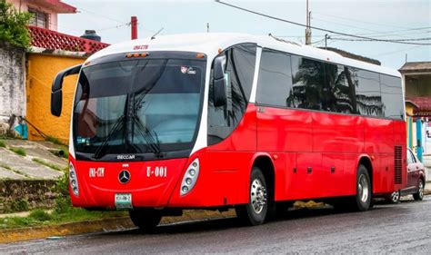 Things To Know About Mexican Buses Population Go