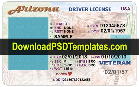 Free Psd Drivers License Template Sadebaflowers