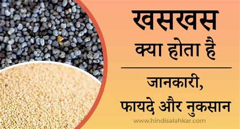 पोस्त Khaskhas Kya Hota Hai खसखस के फायदे और नुकसान Poppy Seeds