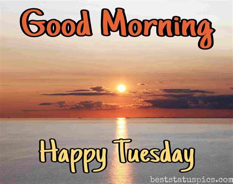 Nothing messes up your friday like realizing it's only tuesday. 53+ Good Morning Happy Tuesday Images HD, Wishes [2021 ...