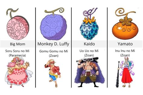 Tổng Hợp Những Trái ác Quỷ Trong One Piece One Piece Wiki
