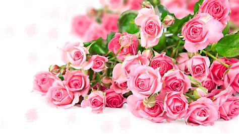 1920x1080 Roses Bouquet Buds Coolwallpapersme
