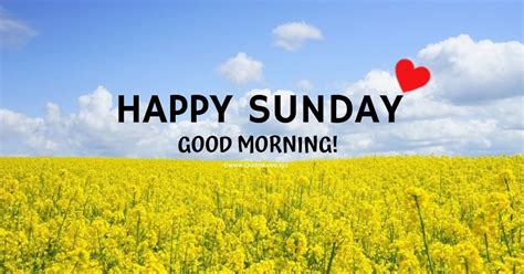 53 Best Sunday Good Morning Quotes To Celebrate Sunday