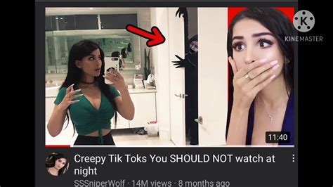 I Exposed Sssniperwolf Youtube