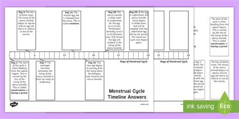 Sex And Relationships Education Menstruation Timeline Worksheet