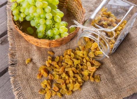 What other foods are bad for pups? Can Dogs Eat Grapes and Raisins? | PetMD
