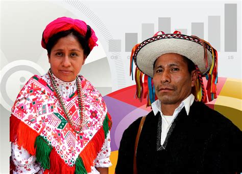 Fichas De Información Básica De La Población Indígena 2015 Inpi