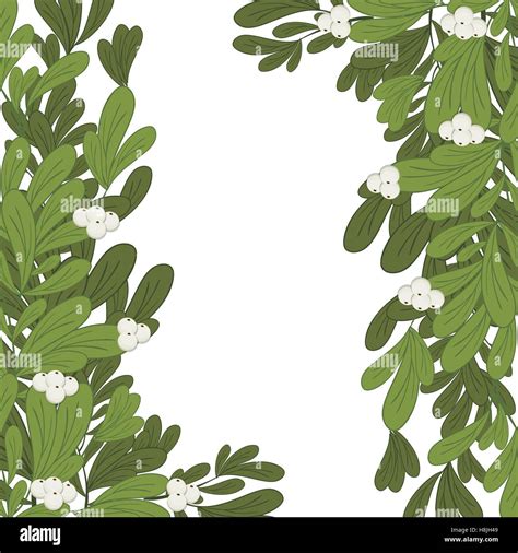 Christmas Frame Mistletoe With White Flowers Vector Illustration Stock