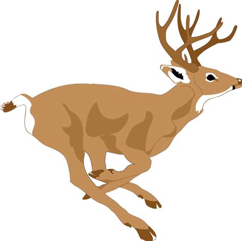 Free Deer Hunter Cliparts Download Free Deer Hunter Cliparts Png