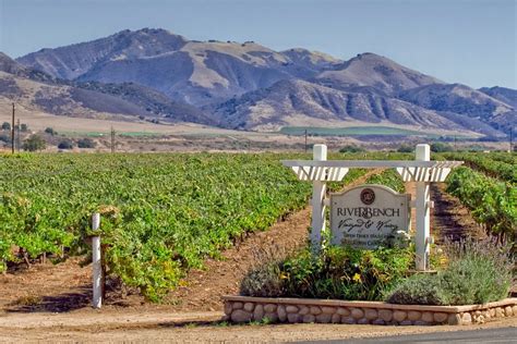 Best Santa Barbara Wineries To Visit
