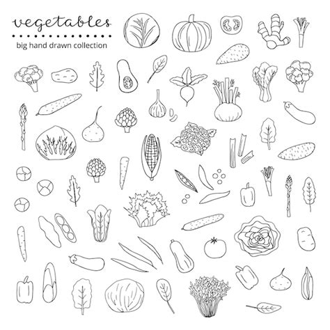Conjunto De Vegetales Dibujados A Mano Vector Premium