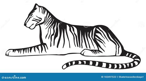 Tiger Lying And Tiger Cub Hand Drawn Doodle Sketch Cartoon Vector