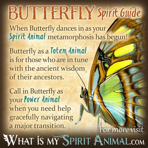 Spirit Totem And Power Animal Meanings