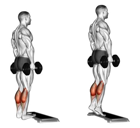 Dumbbell Standing Calf Raise Exercise Guide And Videos Fitness Volt
