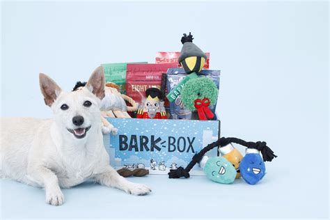 The Double Deluxe Barkbox Is The T Your Dog Really Really Wants