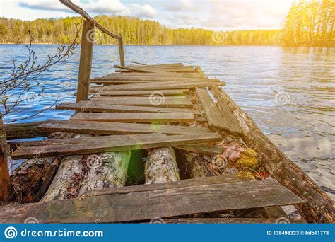 Forest Lake Or River On Summer Day And Old Rustic Wooden Dock Or Pier