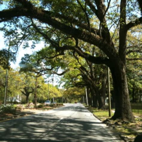 Maybe you would like to learn more about one of these? Tree lined street in Mobile, Alabama | Scenic, Mobile ...