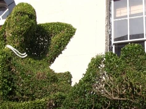 Topiarist Sickened By Drunk People Simulating Sex With His Woman Shaped Hedge The