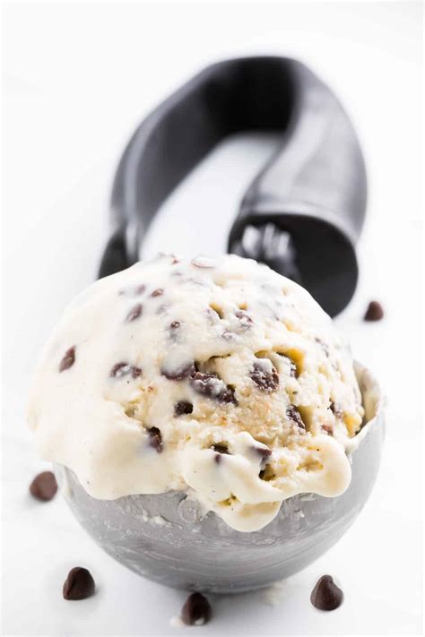 Chocolate Chip Ice Cream Errens Kitchen