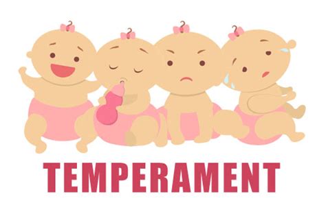 temperament   jest teorie typy rodzaje