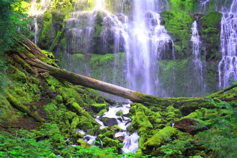 Proxy Falls Oregon Waterfalls Beautiful Nature Nature Pictures