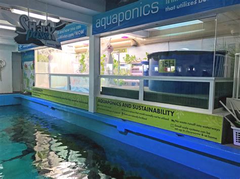 Clearwater Marine Aquarium In Florida Luria And Co