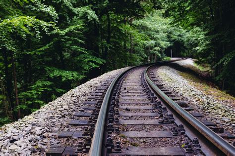 Railway Track In Forest Free Stock Image Barnimages
