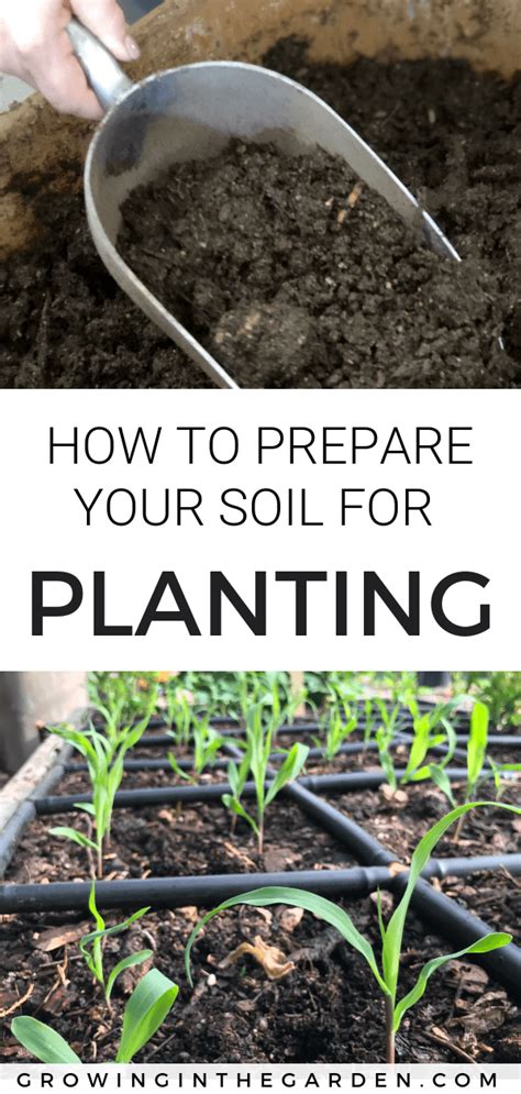 Get Your Soil Ready For Planting Growing In The Garden Garden Soil