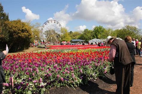 Floriade Canberra 2018 All You Need To Know Before You Go With Photos