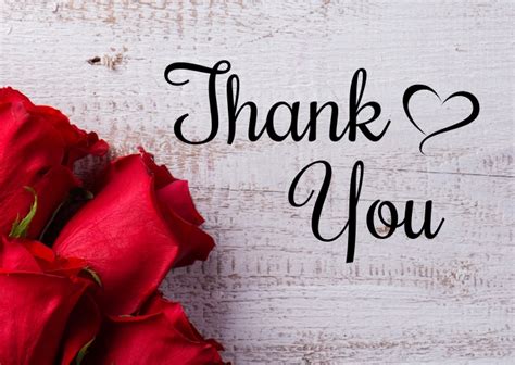 Thank You Greeting Card Din Roses Wishes Template Postermywall