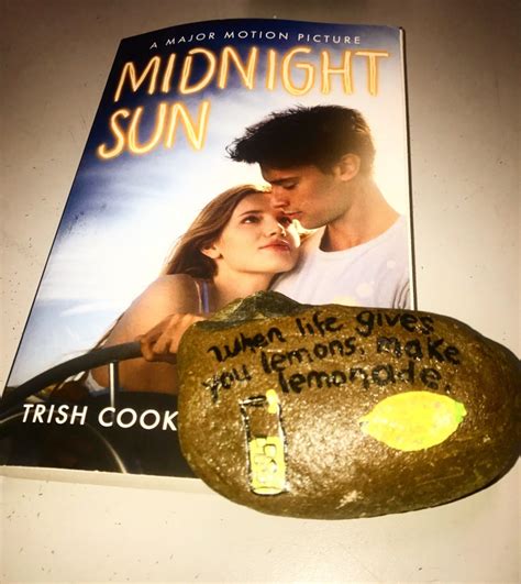 Midnight Sun By Trish Cook