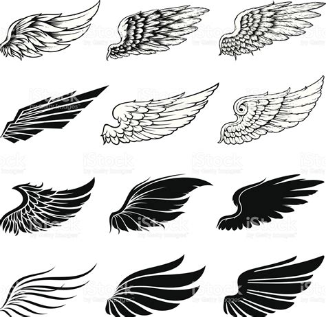 Set Of Twelve Vector Wings The Collection Includes A Simple Form Of