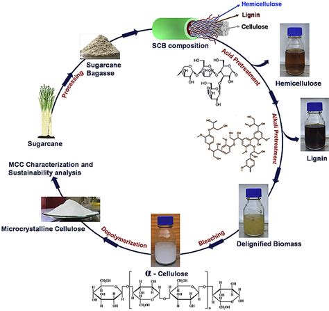 Microcrystalline Cellulose Production From Sugarcane Bagasse