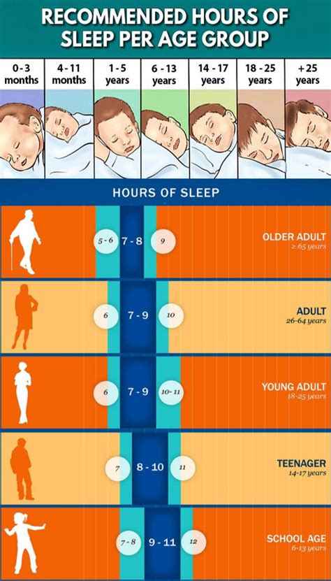 Heres How Much You Should Sleep According To The National Sleep Foundation National Sleep
