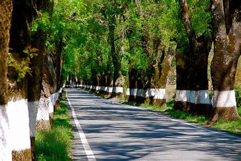 Provavelmente A Estrada Mais Bonita De Portugal Vortexmag