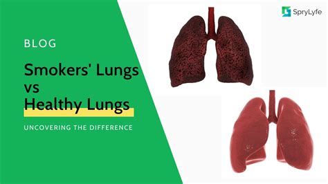 uncovering the difference smokers lungs vs healthy lungs