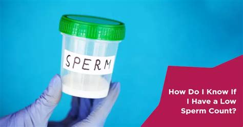 Exploring The Causes Of Low Sperm Count In Men Nova IVF Fertility