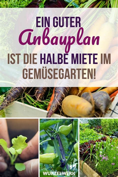Tomaten und paprika können zwar ab mitte mai bis anfang juni direkt ins freiland ausgesät werden, empfehlenswerter ist jedoch eine vorkultur, da die pflanzen sehr empfindlich sind. Wie du einen Anbauplan für deinen Gemüsegarten erstellst ...