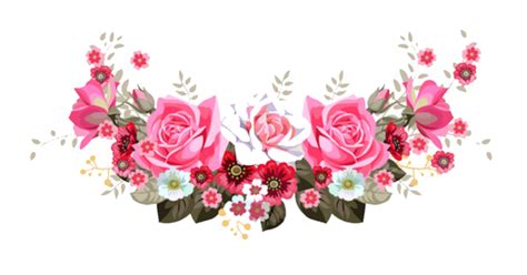 Download Floral Roses Design Garden Instagram Free Transparent Image HQ HQ PNG Image | FreePNGImg