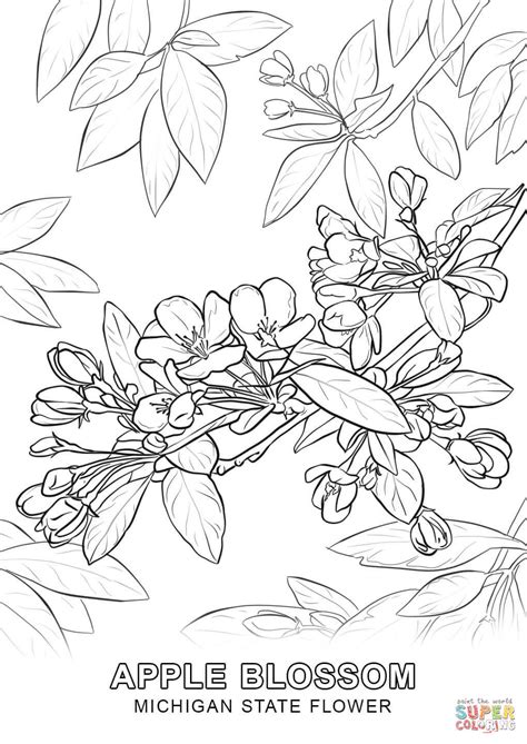 There are a few things we like around here and coloring pages and kansas happen to be two of them. Kansas Coloring Page at GetDrawings | Free download