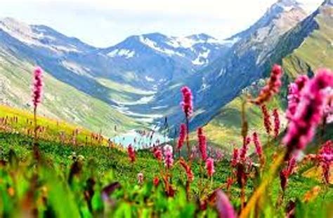 Kashmir Valley Clickasnap Valley Of Flowers National Parks World