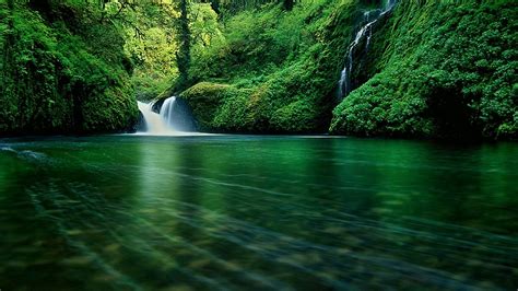Waterfalls Pouring On River Between Green Trees Plants Bushes Hd Nature