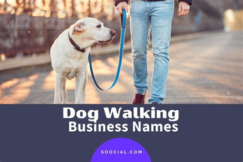 2347 Dog Walking Business Name Ideas To Attract Pet Owners Soocial